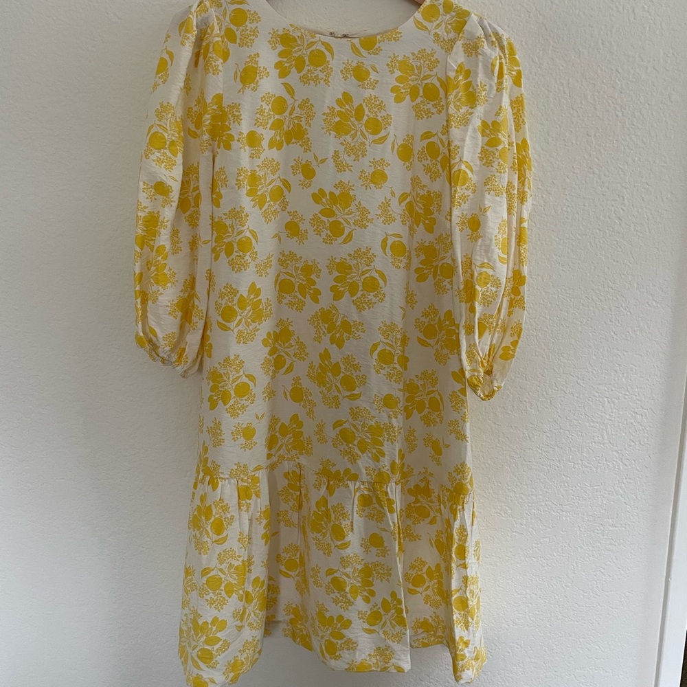Ann Taylor drop waist floral dress